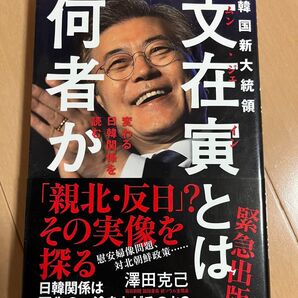 韓国新大統領文在寅とは何者か 変わる日韓関係を読む 澤田克己/著