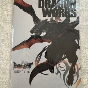 予約特典 PSP ドラグナーズアリア 竜が眠るまで ジョン・ジュノ 特別限定アートワーク集
