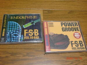 FEEL SO BAD アルバム２枚セット「POWER GROOVE」「ENDORPHINE」