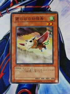 ◆B98◆遊戯王OCG・霞の谷の幼怪鳥 ノーマル・DT03-JP019◆