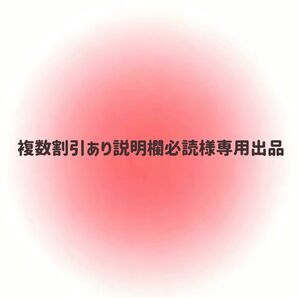 複数割引あり説明欄必読様専用出品