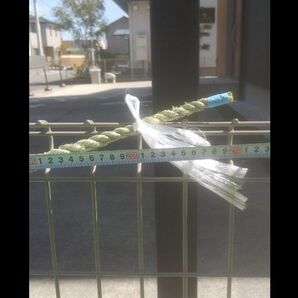 神社用しめ縄 2メートル