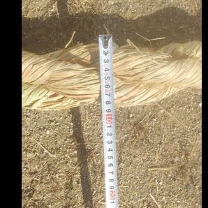 神社用しめ縄 2メートル