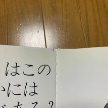 しかけ 絵本 コロちゃん の びっくり箱 シリーズ 5冊セット がっこう / のうじょう / いもうと 等 エリック ヒル 評論社 名作 えほん_画像6