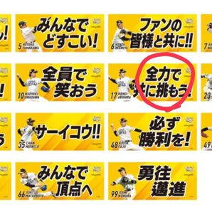 ホークス フェイスタオル