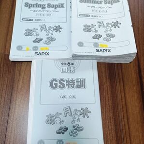 (2024) サピックス 6年国語春季講習 夏期講習 GS特訓