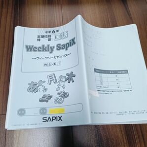 (2024) サピックス 6年国語志望校別特訓 ウィークリーサピックス