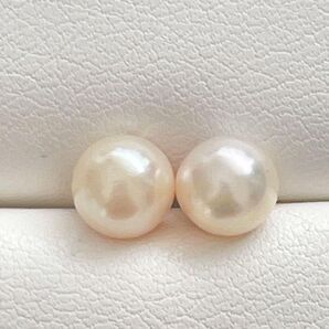 502 サービスパール あこやパールスタッドピアス6.1mm シルバー925