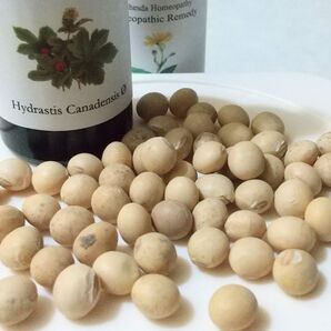 大豆 フクユタカ 種 たっぷり200g