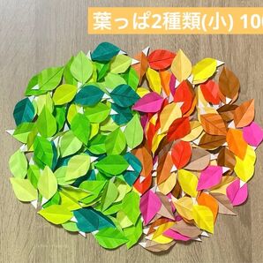葉っぱ2種類 100枚(小) 秋の葉っぱ 緑の葉っぱ 壁面飾り リース素材 掲示板 壁面装飾