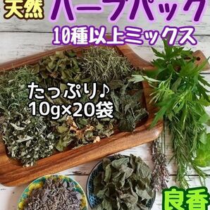 天然 和ハーブバスパック 【10g×20袋】10種以上♪ ◎ハーブ湯 ハーブ蒸し