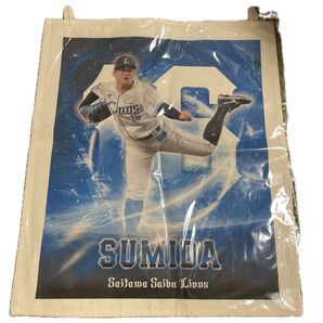 埼玉西武ライオンズ ファブリックポスター タペストリー 隅田知一郎