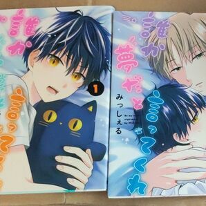 みっしぇる 誰か夢だと言ってくれ 2冊セット