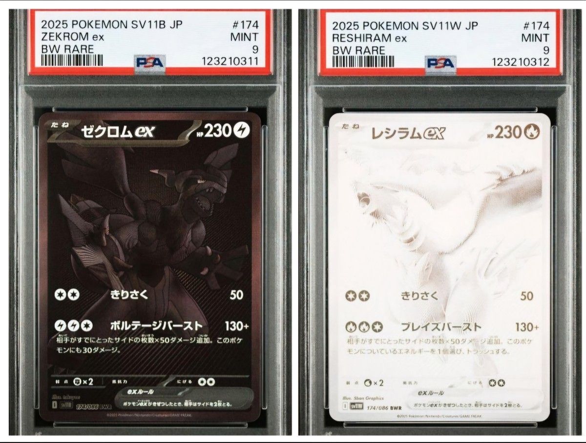 ブラックボルト ホワイトフレア】ゼクロムex レシラムex SR