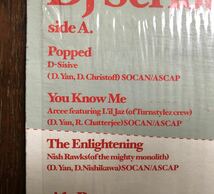 レア 倉庫出 アングラ 2000 DJ Serious / Popped You Know Me The Enlightening 3曲入り US EP David Yan Audio Research AR007 絶版_画像5