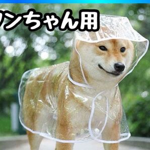 犬用 中型犬 透明 ペットレインコート ポンチョ クリア 雨具 フード付き 散歩 着脱簡単 オープン口付き 夜間反射 梅雨対策