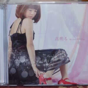 藤田麻衣子 高鳴る