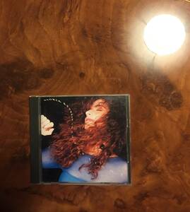 CD-Gloria Estefan グロリア・エステファン・ INTO THE LIGHT・1991 Epic/Sony・送料無料