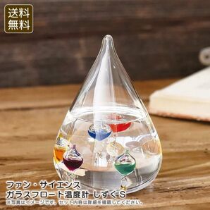 Fun Science ガラスフロート温度計 しずくS