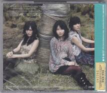 ★CD 風は吹いている (TYPE-A CD+DVD) AKB48 非売品プロモ盤_画像2