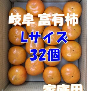 岐阜県産 富有柿 Lサイズ32個(家庭用)※11月中旬頃発送予定