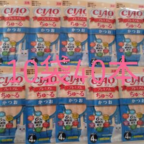 ちゅーるプレミアム10袋