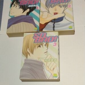 So bad! (小学館文庫) 相原実貴/著