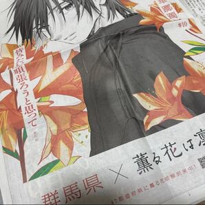 薫る花は凛と咲く 朝日新聞 新聞 群馬 群馬県