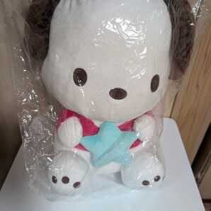 「2025年 サンリオキャラクター大賞当りくじ」ポチャッコ ぬいぐるみ