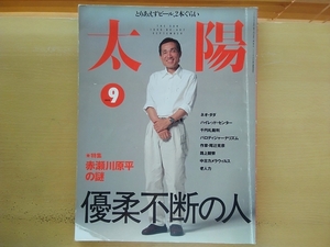 即決 太陽 保存版 特集/赤瀬川原平の謎 寄稿「比喩は稲妻である」赤瀬川コレクション「屋根裏にしまっておいたボクの記念品」