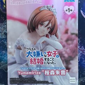クラスの大嫌いな女子と結婚することになった。 Yumemirize 桜森朱音