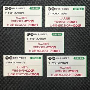 ザ グランドスパ南大門 大人 入館料 割引券 5枚