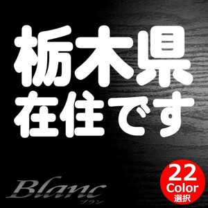 ★栃木県 在住 ステッカー 他県ナンバー狩り 対策 他府県ナンバーへのいたずらや嫌がらせ、あおり運転の防止に最適！