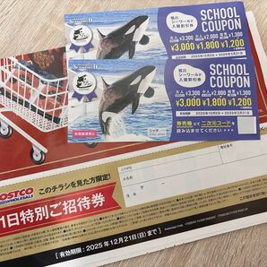 鴨川シーワールド 入館割引券 2枚 & コストコ 1日特別ご招待券 2025年12月21日まで