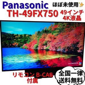【極美品】パナソニック 49V型 VIERA TH-49FX750 4K液晶