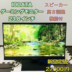 IODATA GigaCrysta アイオーデータ ギガクリスタ ゲーミングモニター 23.8インチ EX-LDGC243HDB