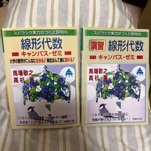 マセマ スバラシク実力がつくと評判の線形代数 2冊セット