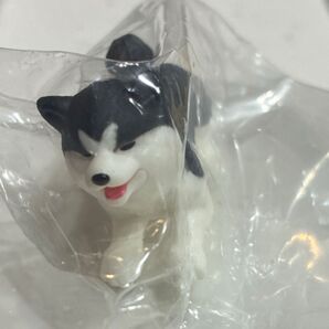 秋田犬参 ふせ ガチャ フィギュア