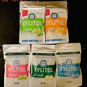 キシリトール100%ガム 歯科専用 5種5袋+選べる2袋