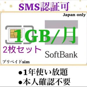 SoftBank プリペイドSIM データ通信 1GB/受信可能 sms認証 2枚セット ②