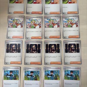 ☆同梱100円以上値引☆16枚☆ベルのまごころ☆ネモ☆ドラセナ☆とりつかい