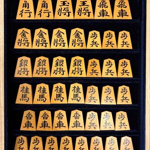 【希少・未使用品】金井静山 御蔵島黄楊 錦旗書 盛上駒