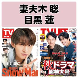 TV LIFE 妻夫木聡 目黒蓮 切り抜き