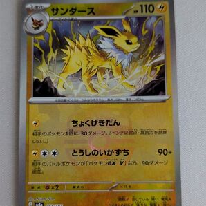 価格の相談却下 サンダース マスターボールミラー