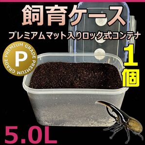 飼育ケース ロック式コンテナ 5.0L プレミアムマット付き 1個 国産 外国産カブトムシ 幼虫飼育に最適! 産卵セットにも最適!