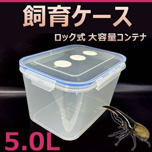 飼育ケース ロック式 大容量コンテナ 5.0L 新品 1個 おまけ付 国産 外国産カブトムシ 幼虫飼育に最適 成虫の一時管理に