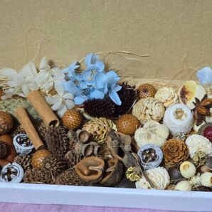 リースー花材(色々な木の実)