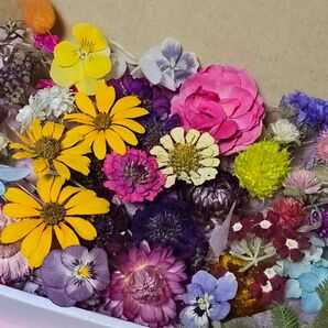 ドライフラワー花材・(ミニ)