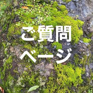 ご質問、お問い合わせベージ