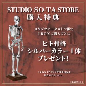 SO-TA 博物モデリング倶楽部 壱 1/12 ヒト骨格Ⅱ 公式ストア購入特典 シルバーカラー / 銀色 ボックストイ版 box版